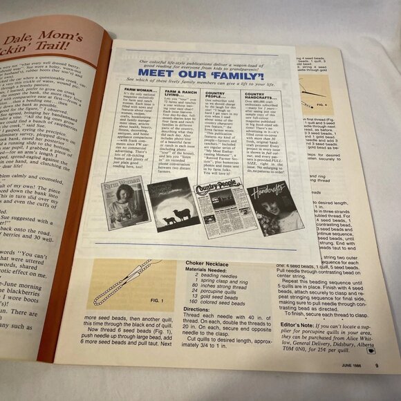 Farm Woman Magazine June 1986 Vol 16 # 6 Gail Mayo Cover Ann Kaiser Editor - Picture 4 of 7